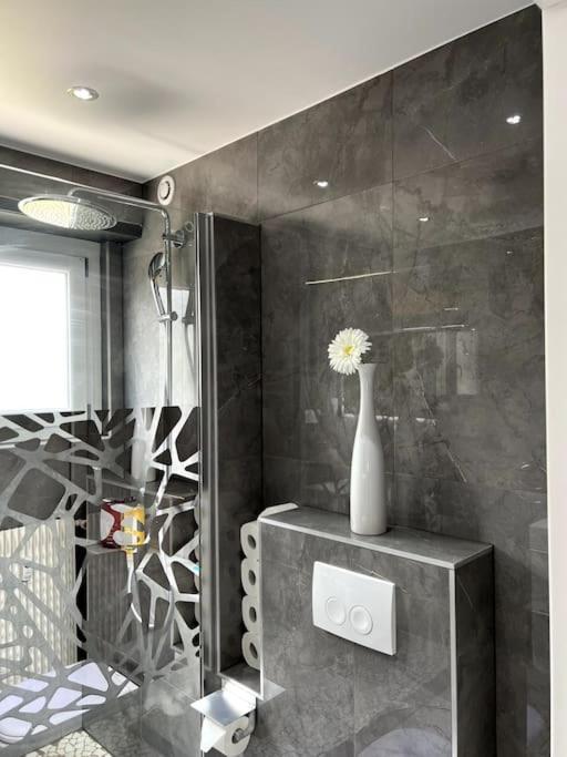 Superbe Appartement Lumineux Avec Parking Gratuit Wintzenheim Exterior foto
